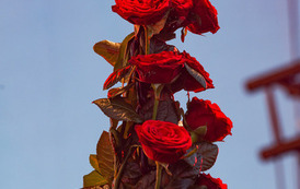 Dawid Kwiatkowski i Anka 88