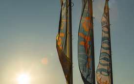 Dawid Kwiatkowski i Anka 138