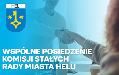 Zdjęcie do Wsp&oacute;łne posiedzenie komisji stałych Rady Miasta Helu