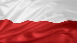 Zdjęcie do Dołącz do nas wywieś flagę!