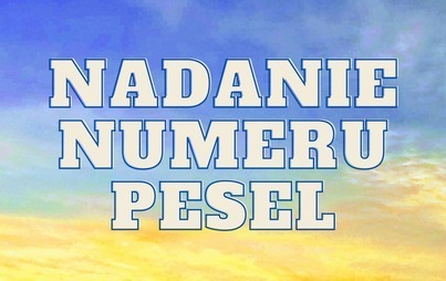 Zdjęcie do PESEL dla obywateli Ukrainy &ndash; jak załatwić formalności   PESEL для громадян України &ndash; як виконати формальності