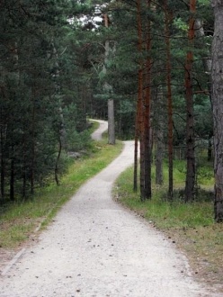 Obraz przedstawia ścieżkę rowerową