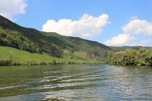 Obraz przedstawia zdjęcie jeziora w Neumagen