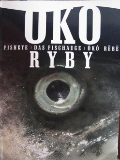 Obraz przedstawia książkę Mira Stanisławska - Meysztowicz "Oko Ryby"